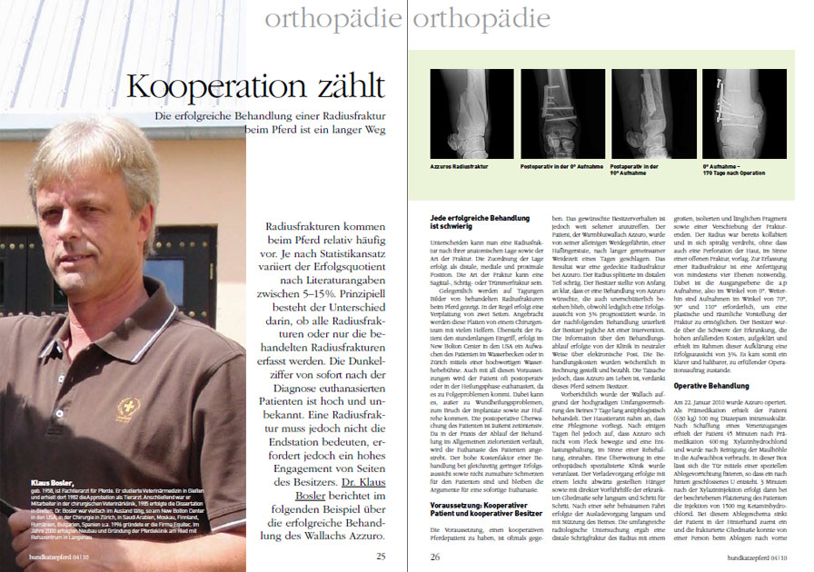 hundkatzepferd - im dialog mit dem Tierarzt. Pferde Orthopädie