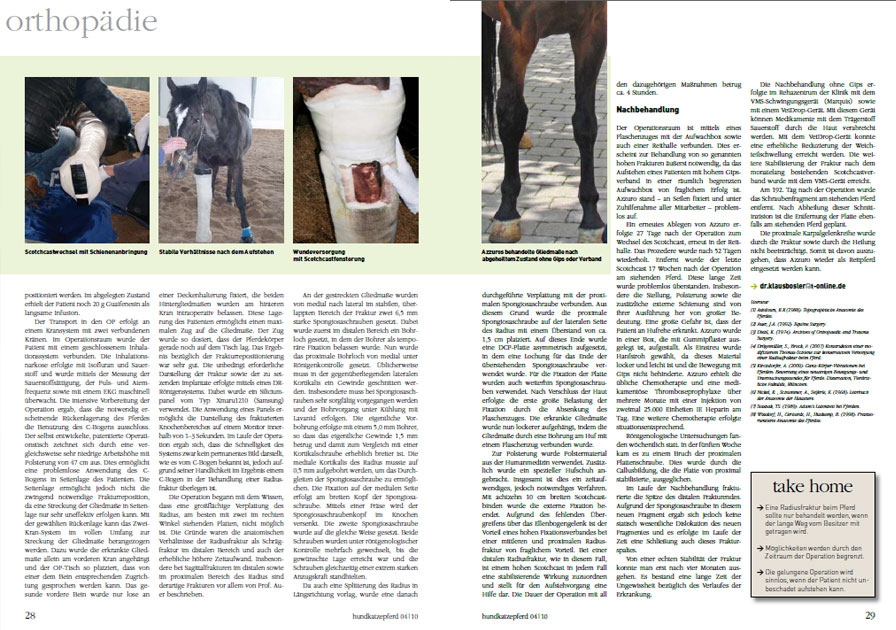 hundkatzepferd - im dialog mit dem Tierarzt. Pferde Orthopädie
