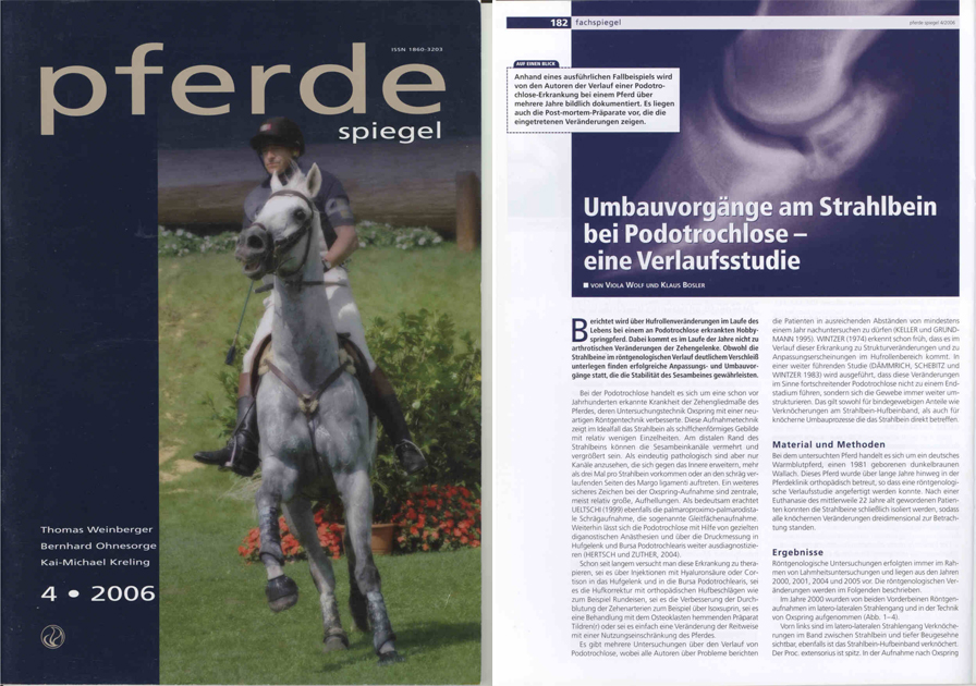 Pferdespiegel